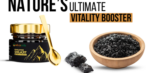 Discover the Power of Ashwaveda Shilajit Resin: Nature’s Ultimate Vitality Booster