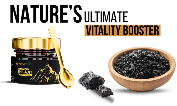 Discover the Power of Ashwaveda Shilajit Resin: Nature’s Ultimate Vitality Booster
