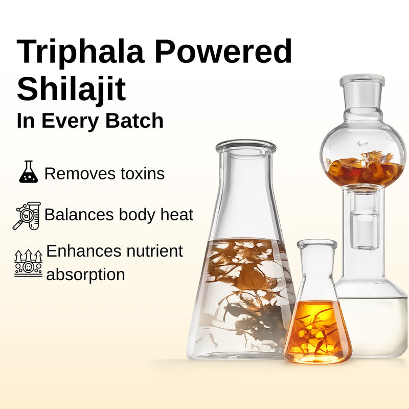 Ashwaveda Pure Shilajit Resin Ashwaveda Healthcare