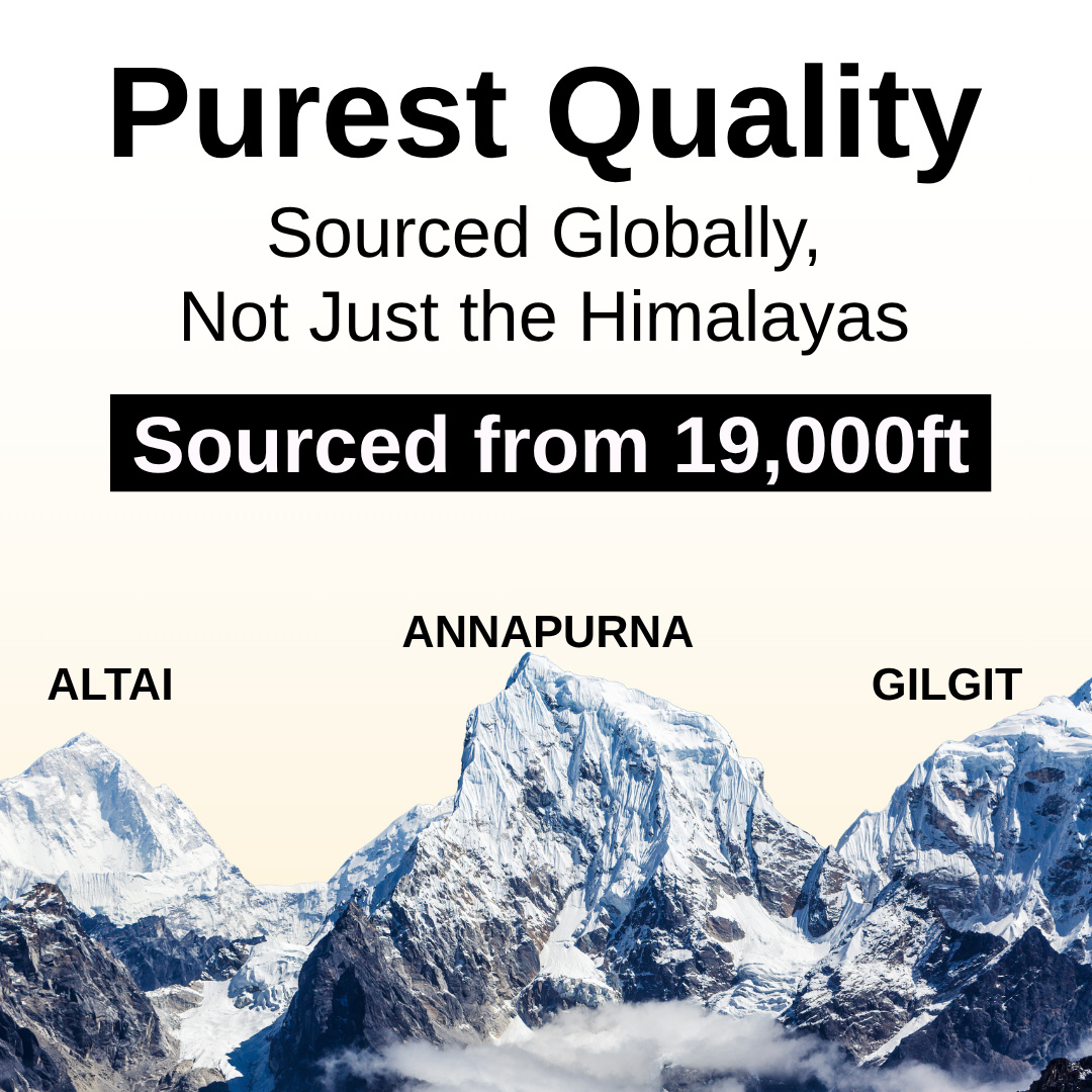 Ashwaveda Pure Shilajit Resin